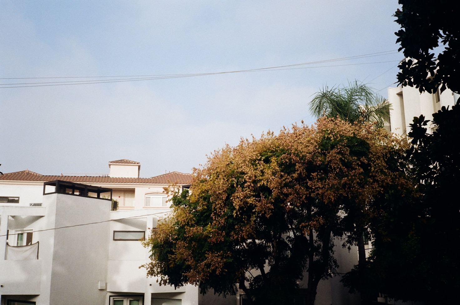 How to Get Involved with CRND-LA